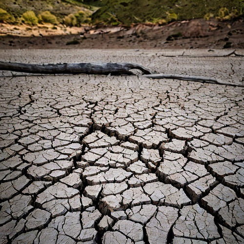 BOM Forecast: A Warm, Dry Summer for Eastern Australia