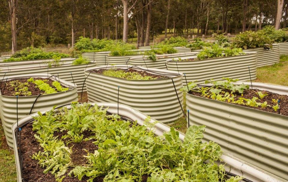 Steel Slimline Garden Bed (635mm high)